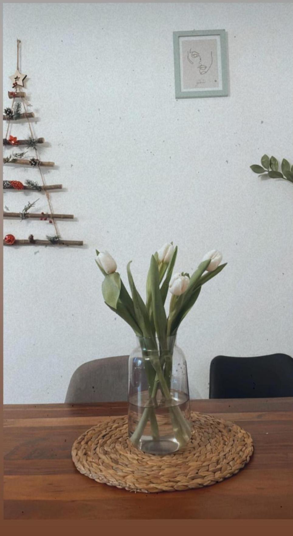 Apartma Ella Koper Zewnętrze zdjęcie